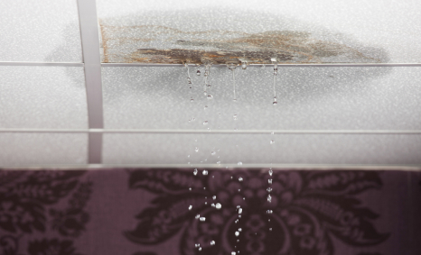 Plumber Eastern Suburbs